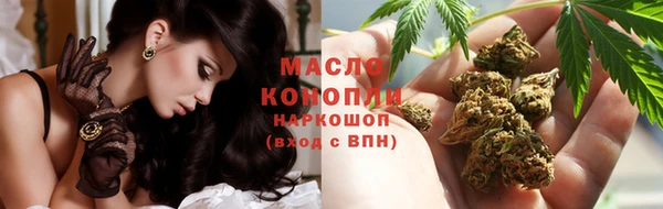 соль ск Новозыбков