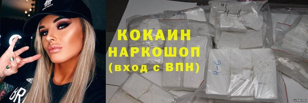 соль ск Новозыбков