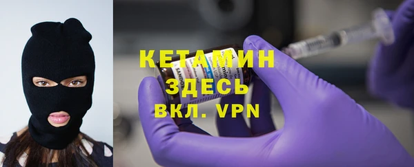 соль ск Новозыбков