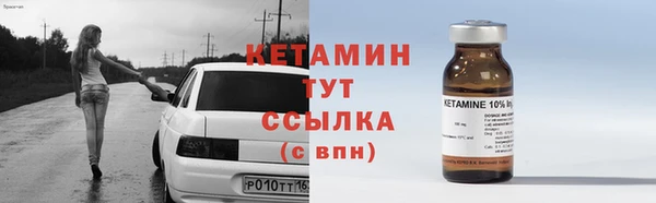 соль ск Новозыбков