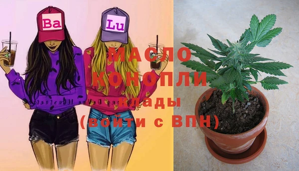 соль ск Новозыбков