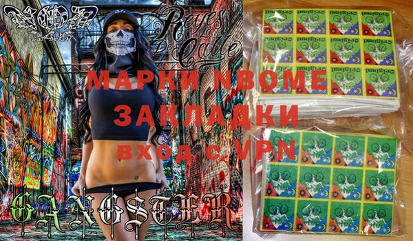 соль ск Новозыбков
