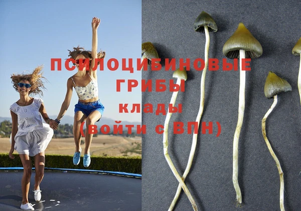 соль ск Новозыбков